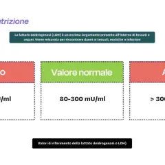 Grafico che illustra i valori normali di LDH: basso (<80), normale (80-300) e alto (>300) mU/ml.