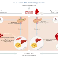 Regolazione glicemia: insulina e glucagone dal pancreas agiscono su organi effettori per mantenere equilibrio.