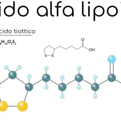 Acido alfa lipoico (ALA), noto anche come acido tiottico, è un composto che alcuni ritengono possa aiutare a dimagrire. La sua struttura molecolare è mostrata.