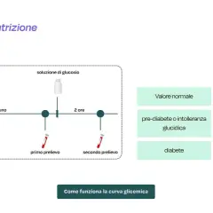 Schema della curva da carico: digiuno, assunzione glucosio, prelievi e valori di riferimento per glicemia.