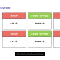 Tabelle con amilasi valori normali per esami del sangue e urine. Indica livelli bassi, normali e alti.