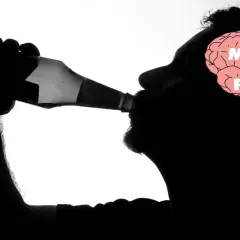 Silhouette di uomo beve da bottiglia, con cervello che mostra "Mito o Fatto". Il fegato ne risente, lasciando una bocca amara.