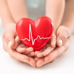 Mani che sorreggono un cuore rosso con un elettrocardiogramma, simbolo di salute e di un battito regolare, circa 80 battiti al minuto a riposo.