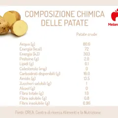 Composizione chimica delle patate, verdure ricche di acqua e carboidrati, con valori nutrizionali dettagliati.