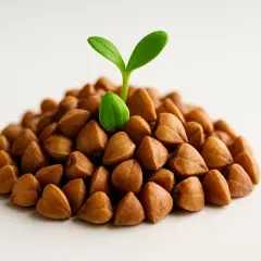 Germoglio verde su un cumulo di grano saraceno, simbolo di crescita e salute, con un occhio di riguardo per la glicemia.