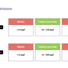 Tabelle valori ferritina uomini/donne: basso, normale, alto. Attenzione al ferro alto nel sangue!