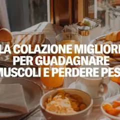La colazione migliore per guadagnare muscoli e perdere peso: scopri quante calorie a colazione per il tuo benessere.