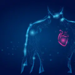 Cuore stilizzato in rosso acceso all'interno di una figura umana blu luminosa, che suggerisce le **cause** di un **CPK alto**.