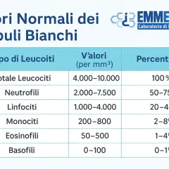Tabella con i valori normali dei globuli bianchi. Gli eosinofili hanno valori normali tra 50-500 per mm³ e una percentuale dell'1-4%.