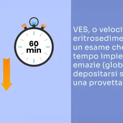 VES, esame sangue: globuli rossi in provetta e cronometro segnano 60 min, indicando il tempo di sedimentazione.
