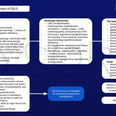 Gestione ESLD: sintomi terminali di cirrosi epatica includono disfunzione multiorgano, con considerazioni pre e perioperatorie.