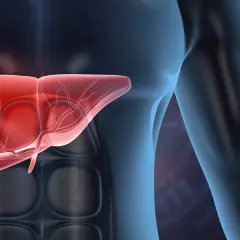 3D rendering of a human torso with a glowing red liver and a subtle heartbeat graphic in the background.
