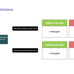 Valori normali di calcitonina negli uomini (< 9.52 pg/mL) e nelle donne (< 6.40 pg/mL). La calcitonina è un ormone essenziale per il metabolismo del calcio.