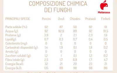 Tabella con i valori nutrizionali dei funghi: Porcini, Ovuli, Chiodini, Prataioli, Finferli. Confronto di acqua, proteine, lipidi, carboidrati, fibra ed energia.