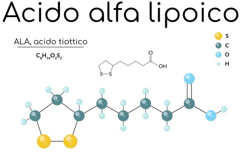Acido alfa lipoico (ALA), noto anche come acido tiottico, è un composto che alcuni ritengono possa aiutare a dimagrire. La sua struttura molecolare è mostrata.