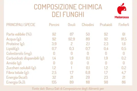 Tabella con i valori nutrizionali dei funghi: Porcini, Ovuli, Chiodini, Prataioli, Finferli. Confronto di acqua, proteine, lipidi, carboidrati, fibra ed energia.