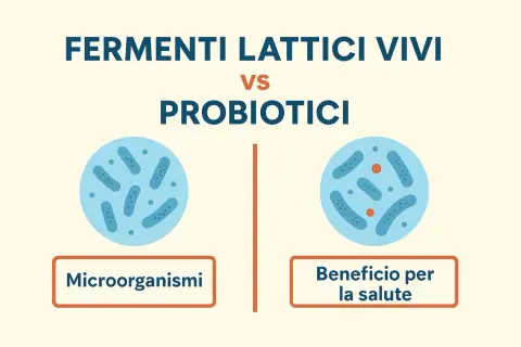 Fermenti lattici vivi vs probiotici: quali sono i cibi che li contengono e i loro benefici per la salute.