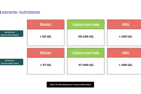 Tabelle con amilasi valori normali per esami del sangue e urine. Indica livelli bassi, normali e alti.