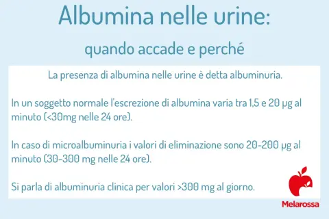 Microalbuminuria: valori normali e patologici. L'esame delle urine rileva la presenza di albumina, indicando albuminuria.