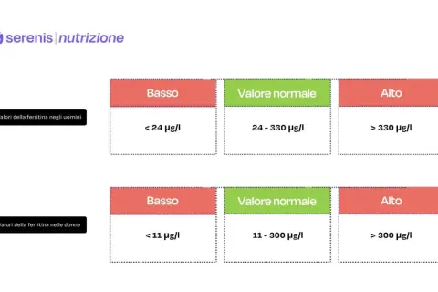 Tabelle valori ferritina uomini/donne: basso, normale, alto. Attenzione al ferro alto nel sangue!