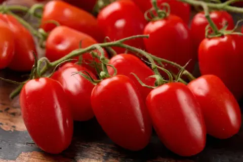 Pomodori freschi su un ramo. Attenzione, le patate contengono istamina, ma questi pomodori no!