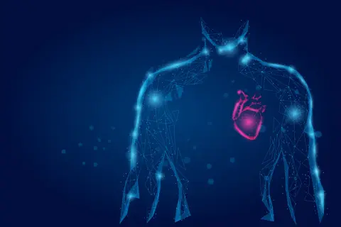 Cuore stilizzato in rosso acceso all'interno di una figura umana blu luminosa, che suggerisce le **cause** di un **CPK alto**.