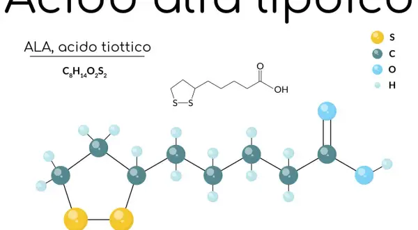 Acido alfa lipoico (ALA), noto anche come acido tiottico, è un composto che alcuni ritengono possa aiutare a dimagrire. La sua struttura molecolare è mostrata.