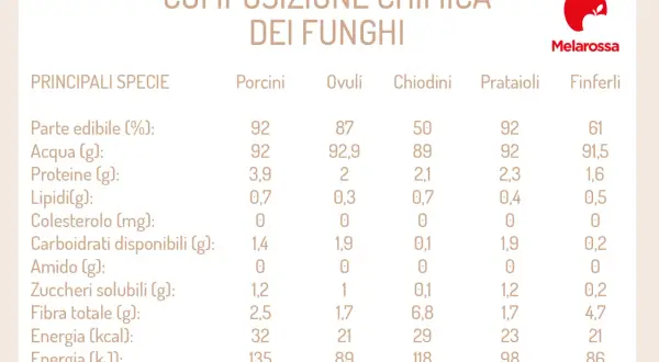 Tabella con i valori nutrizionali dei funghi: Porcini, Ovuli, Chiodini, Prataioli, Finferli. Confronto di acqua, proteine, lipidi, carboidrati, fibra ed energia.