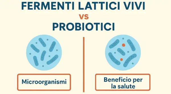 Fermenti lattici vivi vs probiotici: quali sono i cibi che li contengono e i loro benefici per la salute.
