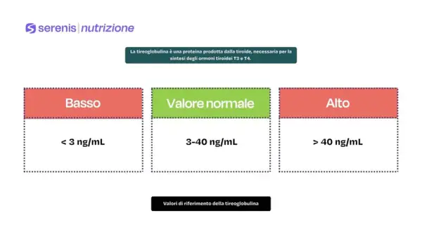 Valori di riferimento della tireoglobulina: basso (<3 ng/mL), normale (3-40 ng/mL), alto (>40 ng/mL). Quando preoccuparsi per anticorpi anti-tireoglobulina alti?