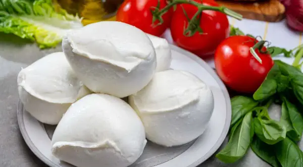 Mozzarella fresca su piatto, con pomodori, basilico e olio. Un piatto che, se mangiato in eccesso, potrebbe causare reflusso.