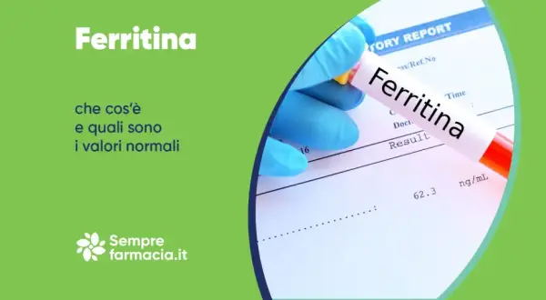 Ferritina: cosa sono i valori pericolosi e quali sono quelli normali. Esame del sangue con provetta e referto.