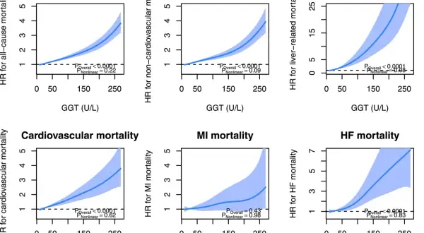 Grafici mostrano aumento mortalità con GGT elevato. Gamma GT bassa associata a minor rischio.