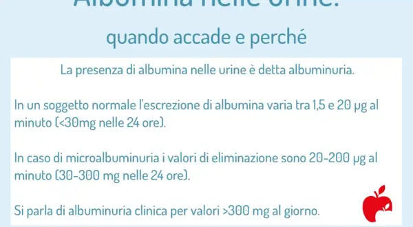 Microalbuminuria: valori normali e patologici. L'esame delle urine rileva la presenza di albumina, indicando albuminuria.
