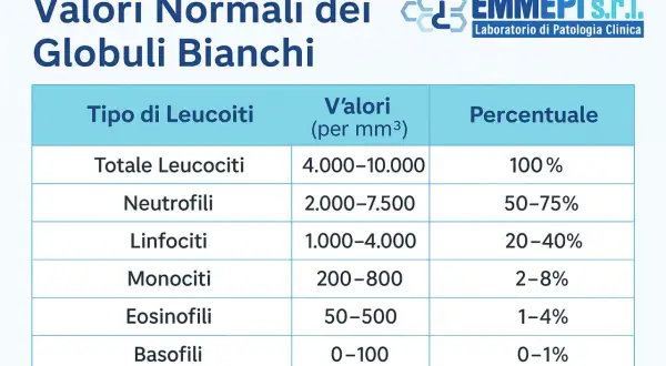 Tabella con i valori normali dei globuli bianchi. Gli eosinofili hanno valori normali tra 50-500 per mm³ e una percentuale dell'1-4%.