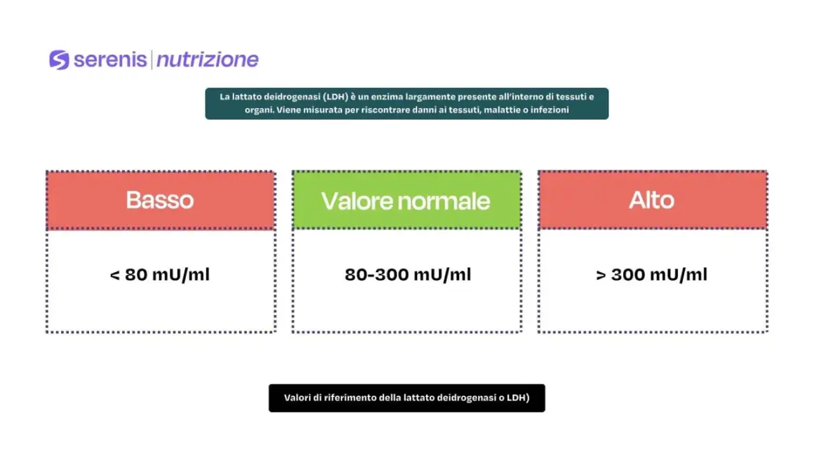 Grafico che illustra i valori normali di LDH: basso (<80), normale (80-300) e alto (>300) mU/ml.