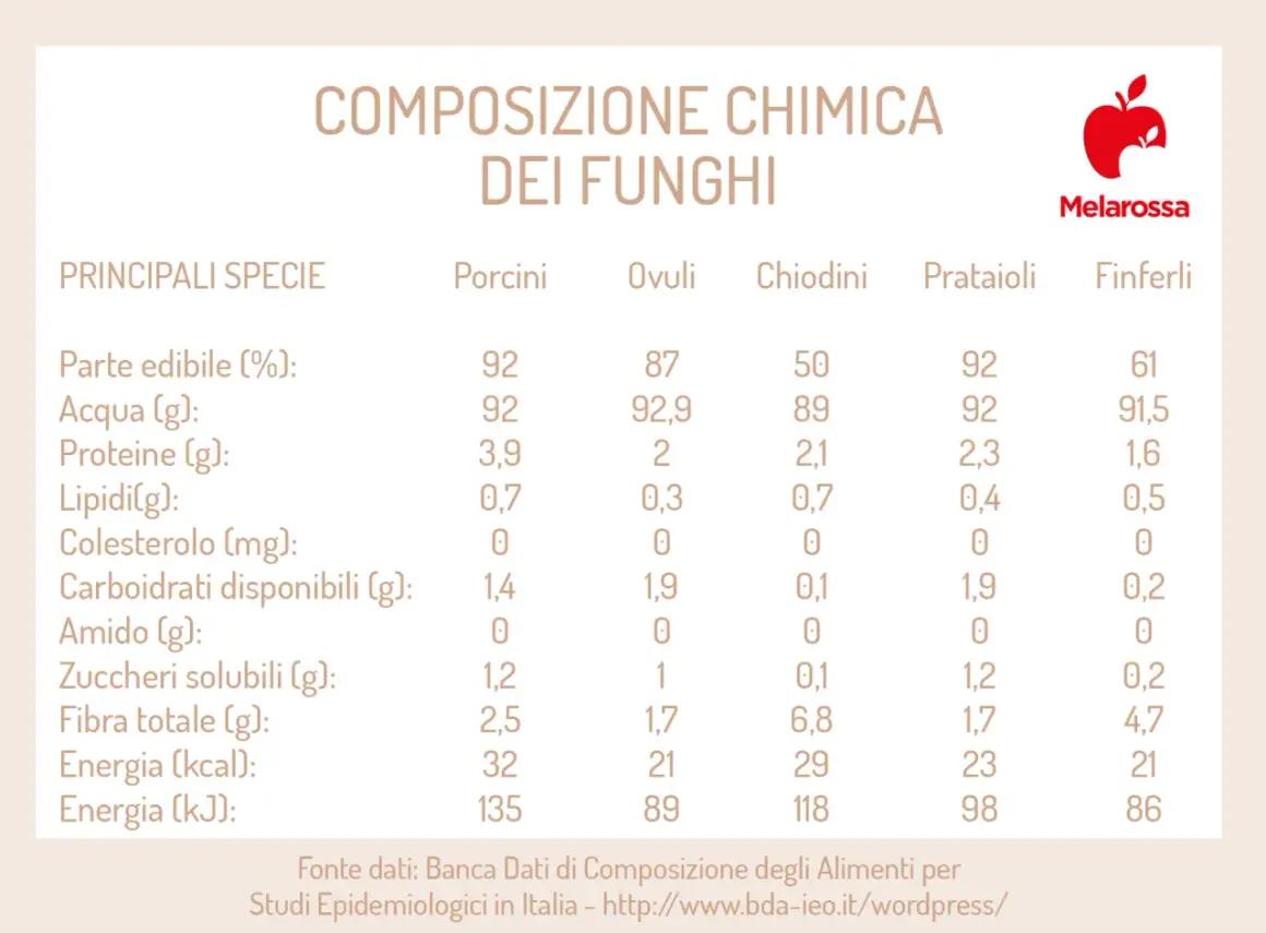 Tabella con i valori nutrizionali dei funghi: Porcini, Ovuli, Chiodini, Prataioli, Finferli. Confronto di acqua, proteine, lipidi, carboidrati, fibra ed energia.