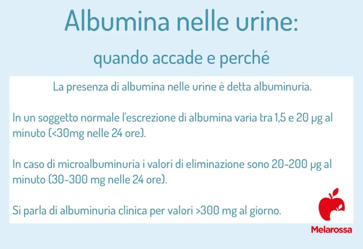 Microalbuminuria: valori normali e patologici. L'esame delle urine rileva la presenza di albumina, indicando albuminuria.