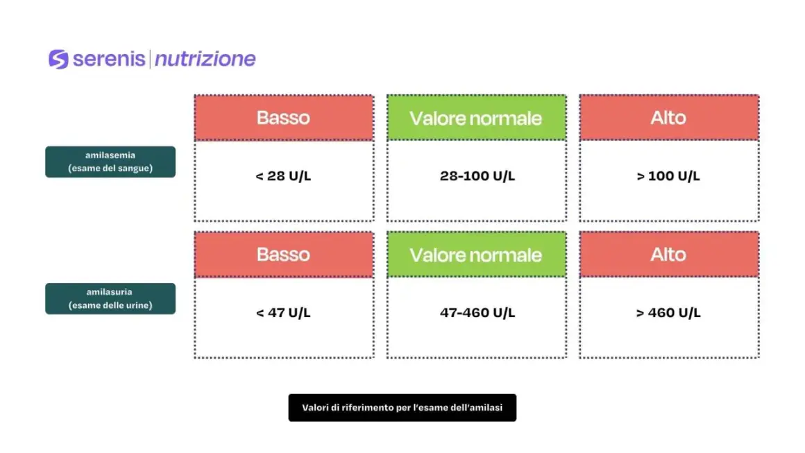 Valori di riferimento per amilasemia e amilasuria. Un valore basso di amilasi pancreatica nel sangue (< 28 U/L) può indicare problemi.
