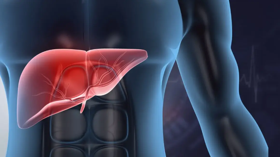 3D rendering of a human torso with a glowing red liver and a subtle heartbeat graphic in the background.