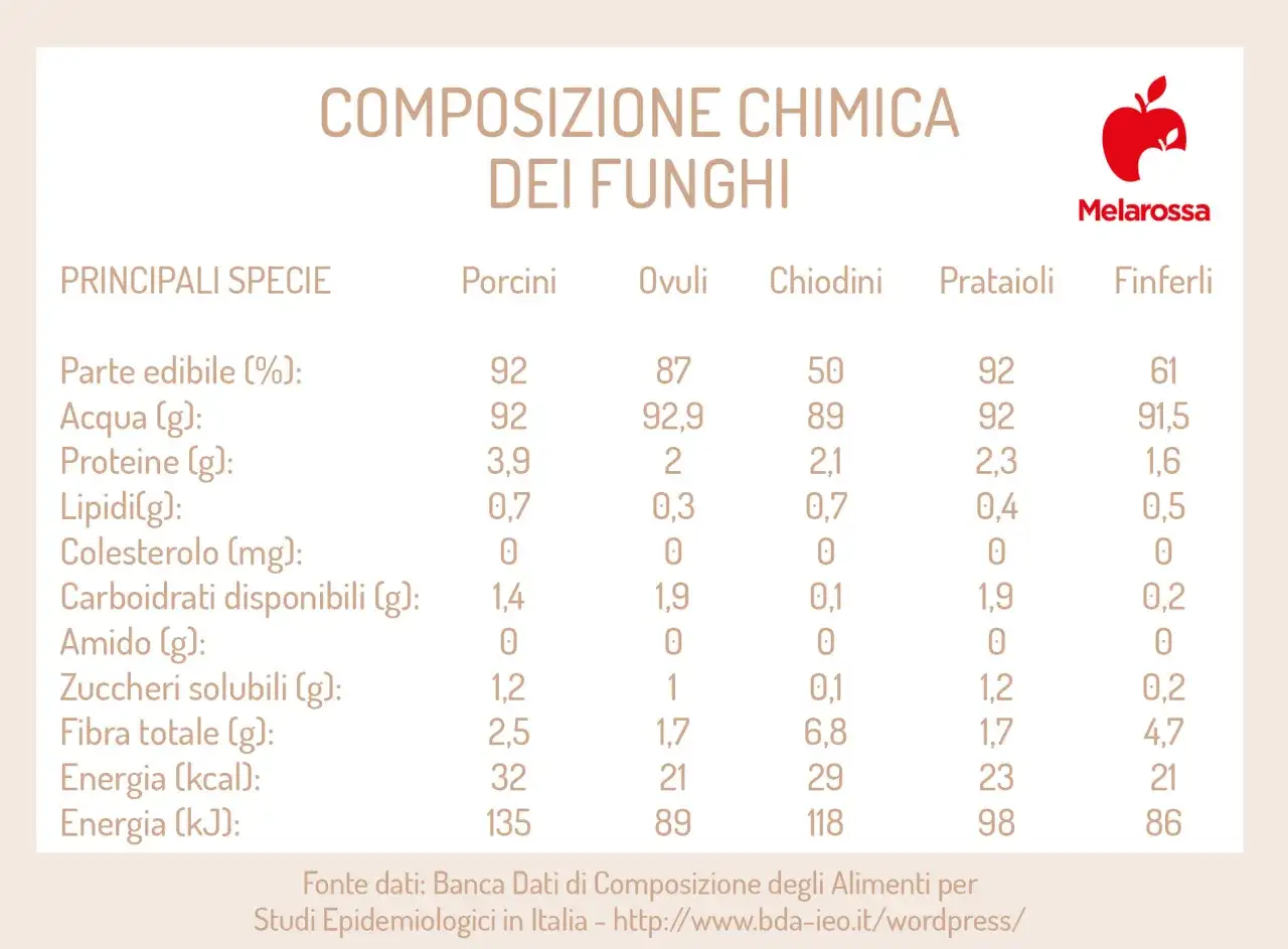 Funghi - Calorie, valori nutrizionali e come usarli in dieta
