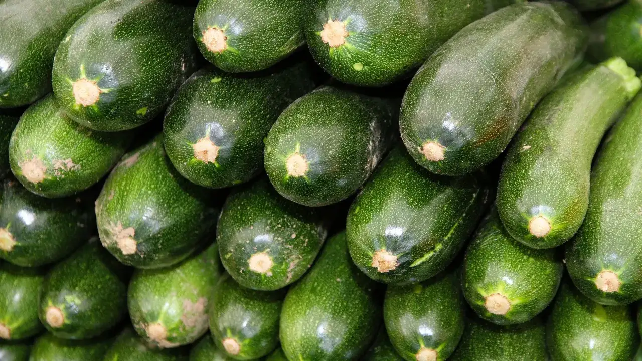 Zucchine fresche, ideali per una tabella verdure per diabetici. Un alimento leggero e versatile per una dieta sana.