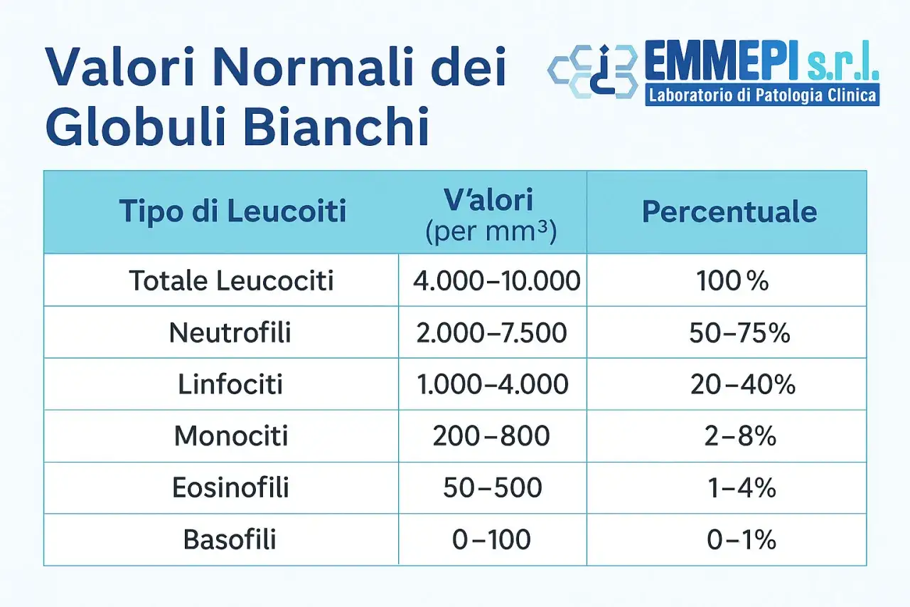Tabella con i linfociti valori normali e altri tipi di globuli bianchi, con intervalli numerici e percentuali.