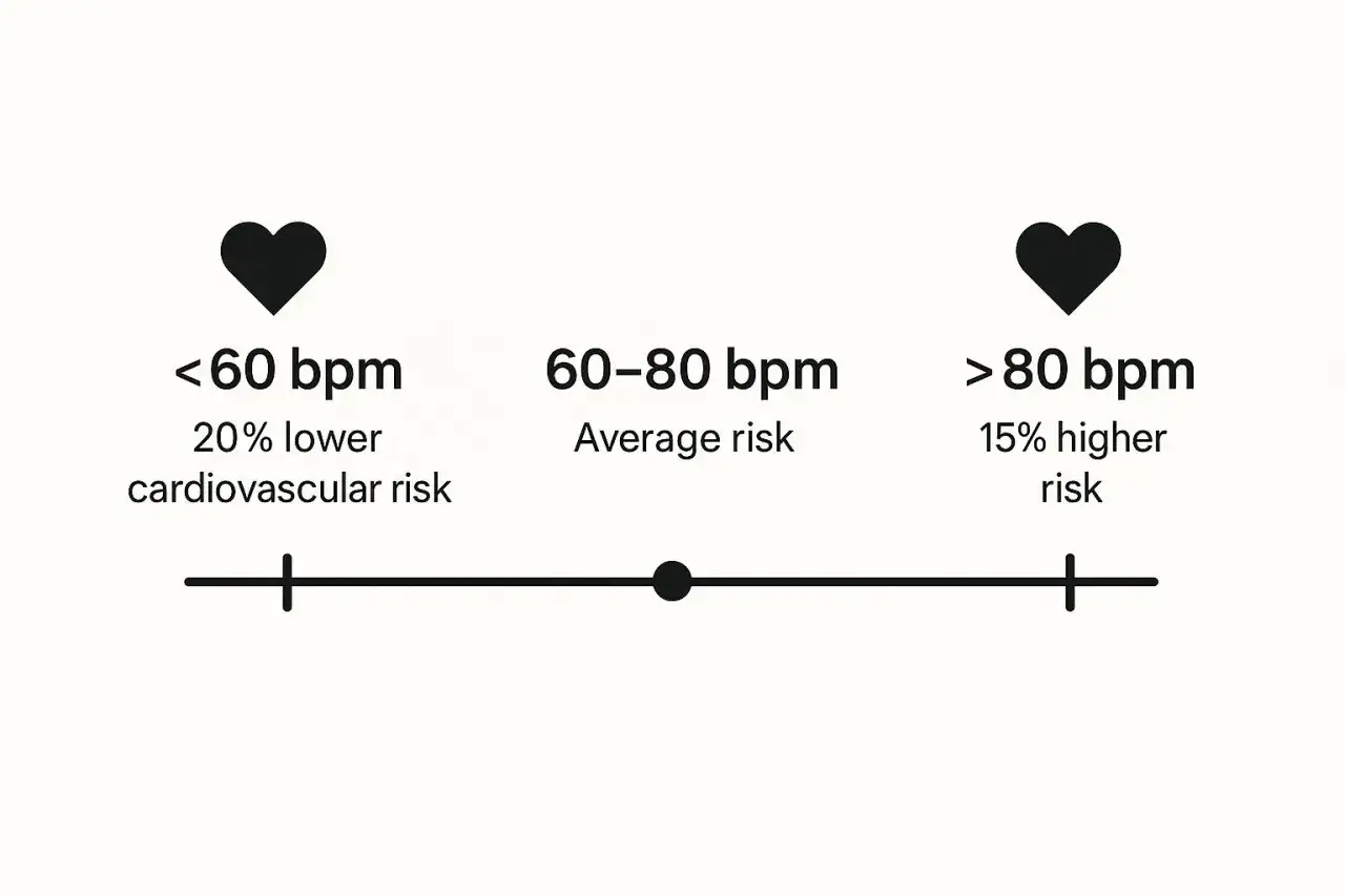 Un cuore con 55 battiti al minuto a riposo indica un rischio cardiovascolare ridotto del 20%. La norma &egrave; 60-80 bpm.