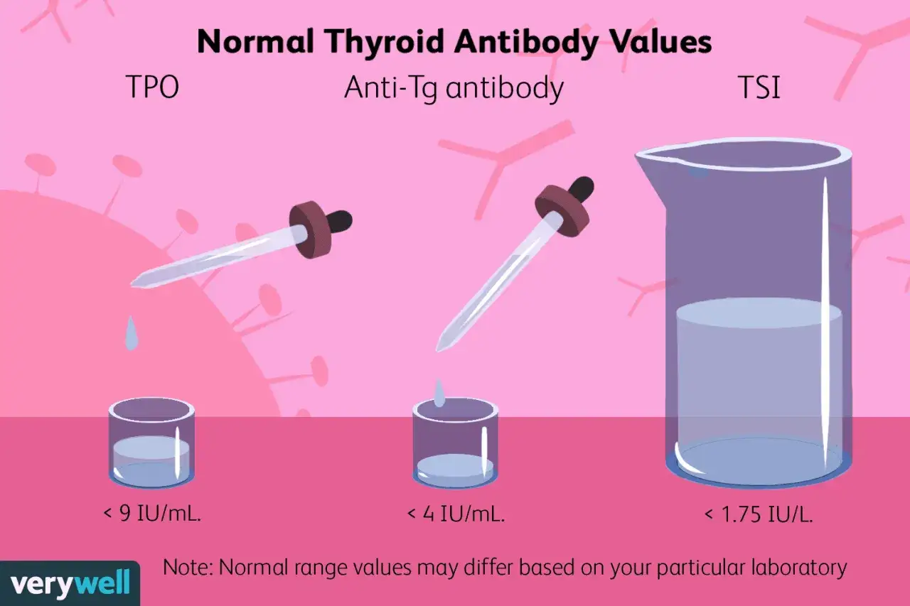 Valori normali anticorpi tiroide: TPO < 9, Anti-Tg < 4, TSI < 1.75. Alti anticorpi anti-tireoperossidasi possono indicare problemi.