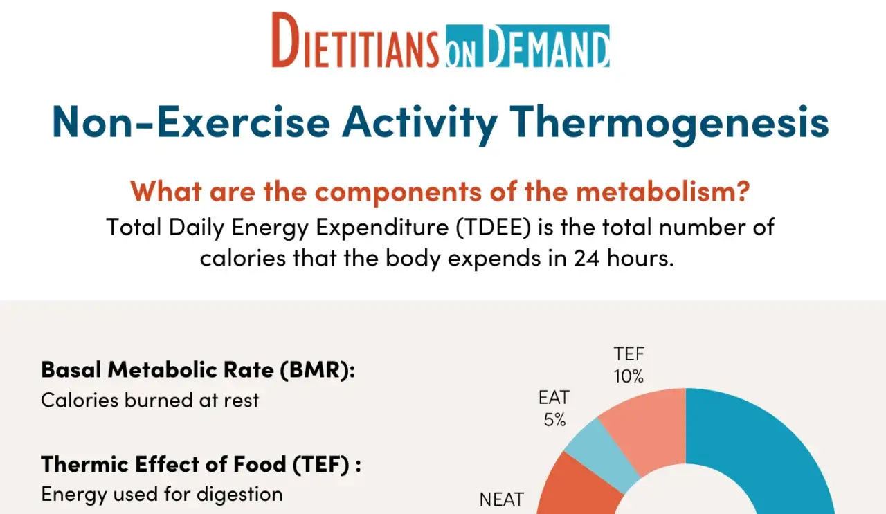 Grafico mostra quante calorie si bruciano al giorno, spiegando il metabolismo basale, l'effetto termico del cibo e l'attività non legata all'esercizio (NEAT).