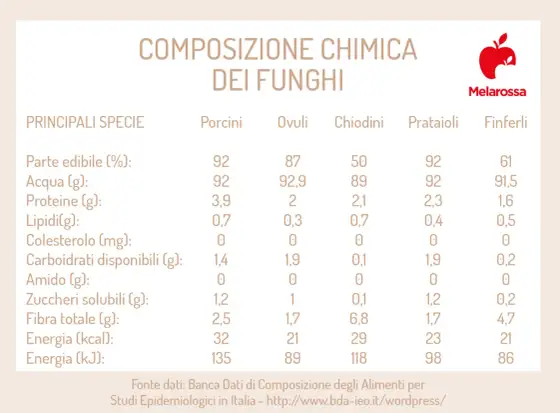 Funghi - Calorie, valori nutrizionali e come usarli in dieta