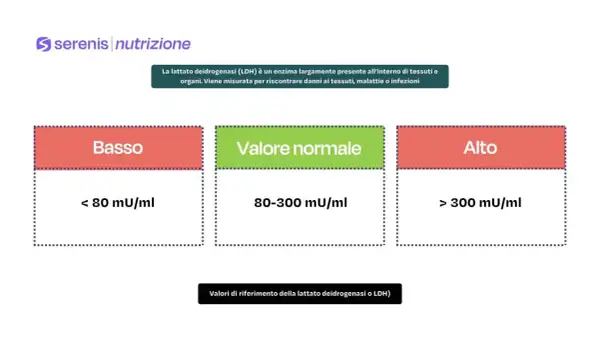 Grafico che illustra i valori normali di LDH: basso (<80), normale (80-300) e alto (>300) mU/ml.