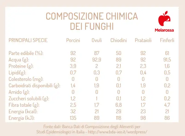 Tabella con i valori nutrizionali dei funghi: Porcini, Ovuli, Chiodini, Prataioli, Finferli. Confronto di acqua, proteine, lipidi, carboidrati, fibra ed energia.