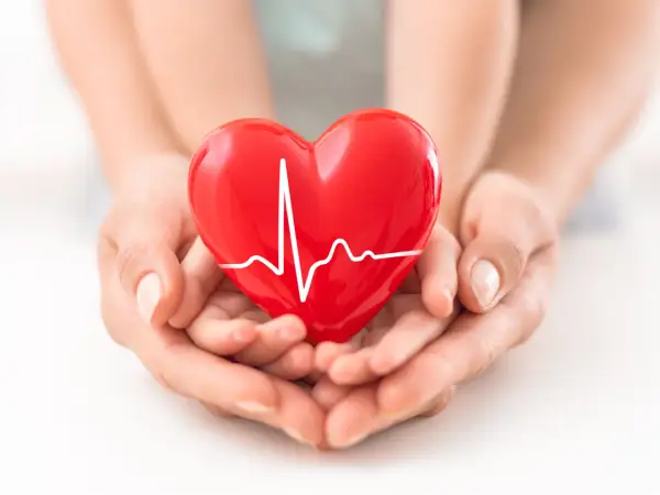 Mani che sorreggono un cuore rosso con un elettrocardiogramma, simbolo di salute e di un battito regolare, circa 80 battiti al minuto a riposo.
